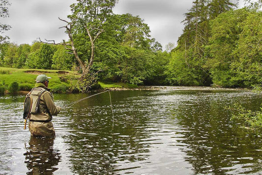 Discovering the Art of Fishing Lures and Baits